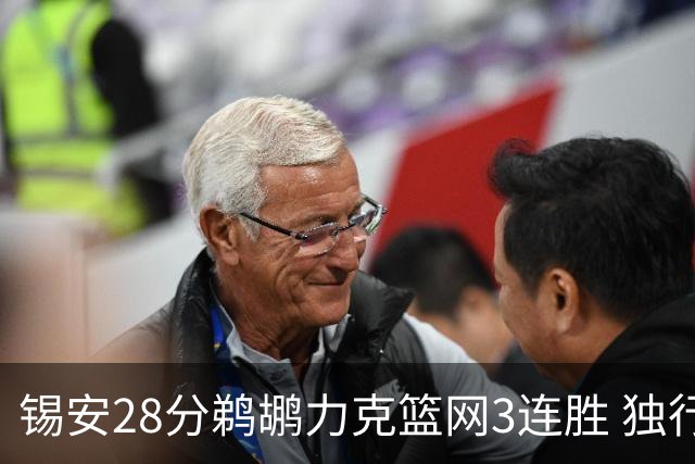 锡安28分鹈鹕力克篮网3连胜 独行侠险胜马刺